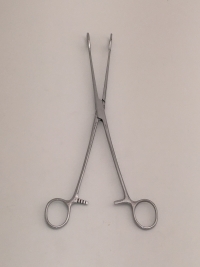 Foerster Sponge Forceps