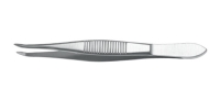 Barraquer Cilia Forceps