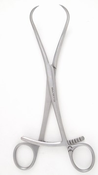 Bone Holding Forceps