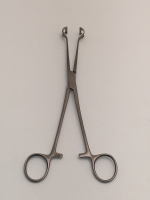 Babcock Intestinal Forceps